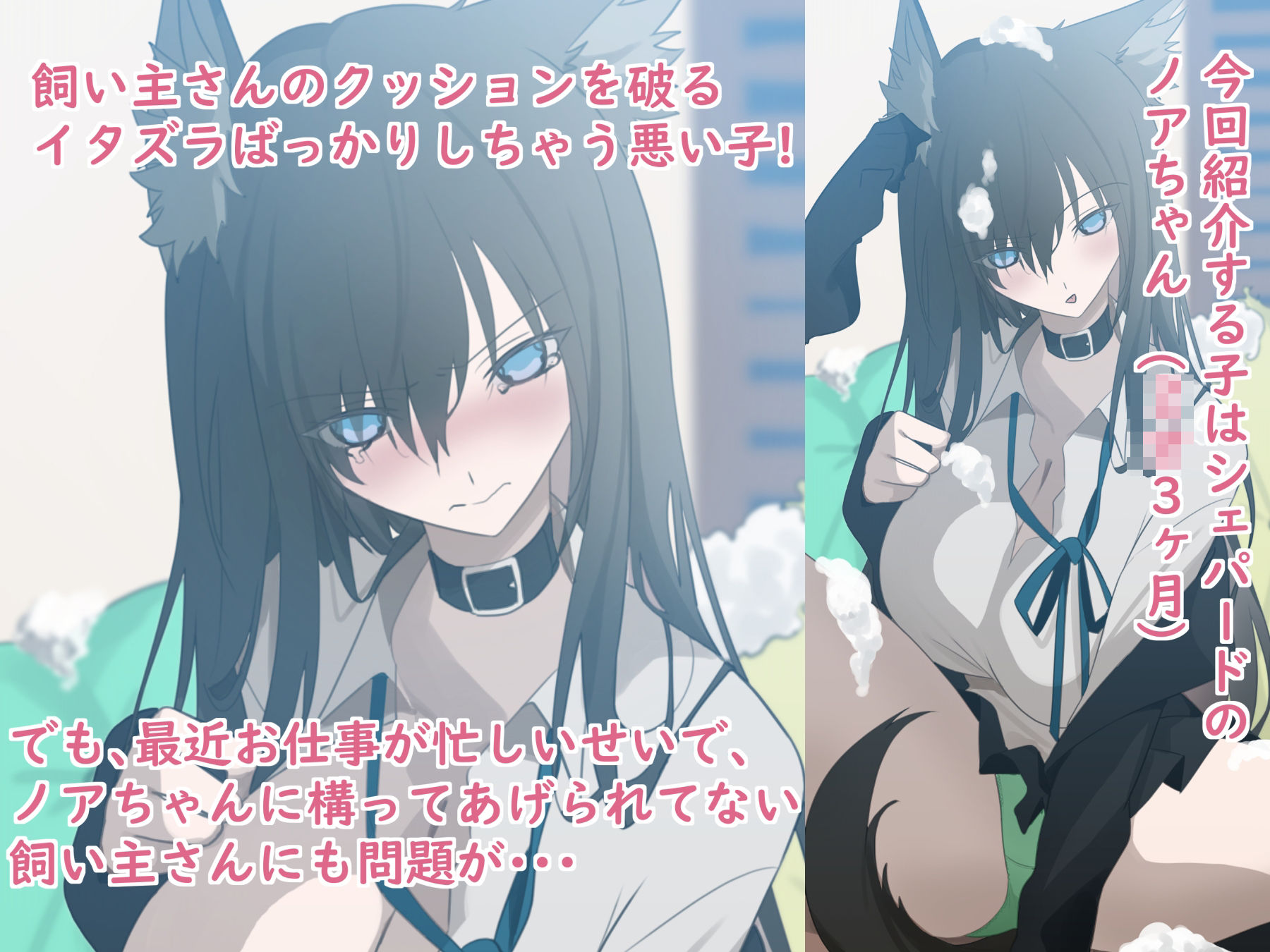 サンプル画像2:JKワンコ飼育日誌 〜シェパードのノアちゃんのお宅の場合〜(YUU.Y) [d_540668]