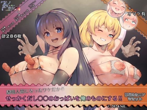 透明人間になったワケだから せっかくだし○○のおっぱいを俺のものにする！！ 沙奈＆セニア Wセットの商品画像