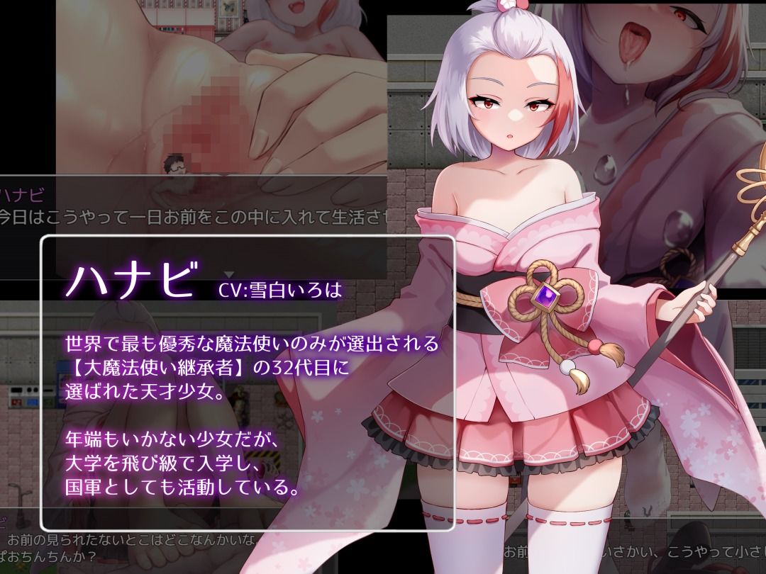 Succubus＆Magic CG集 ハナビ玩具ルートのサンプル画像 6