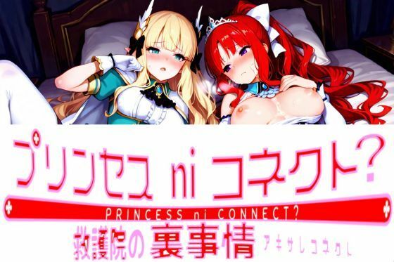 プリンセスni◯ネクト？ 救護院の裏事情 アキサレコネクトの商品画像