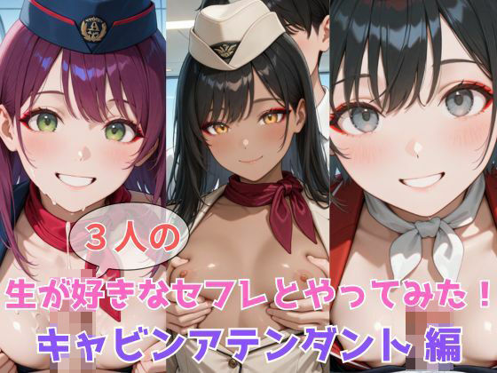 生が好きなセフレとやってみた！キャビンアテンダント編の商品画像