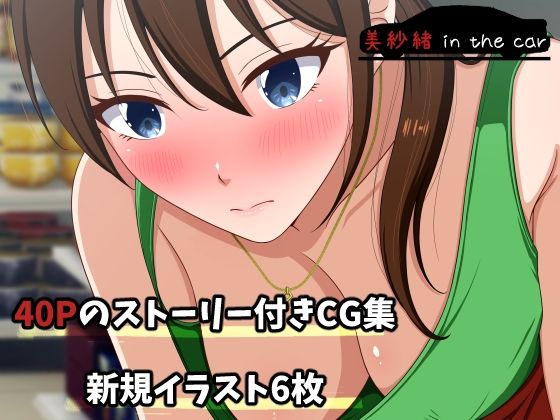 美紗緒 in the carの商品画像