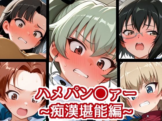 ハメパン〇ァー〜痴●堪能編〜の商品画像