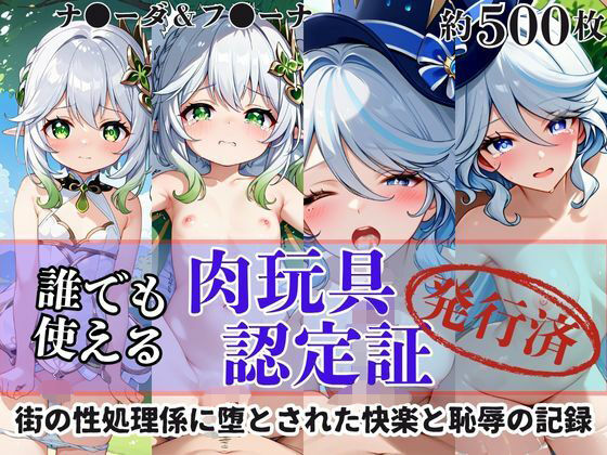 肉玩具認定証発行！！街の性処理係堕ち。―快楽と恥辱の記録―ナ●ーダ＆フ●ーナ編 (dcg)