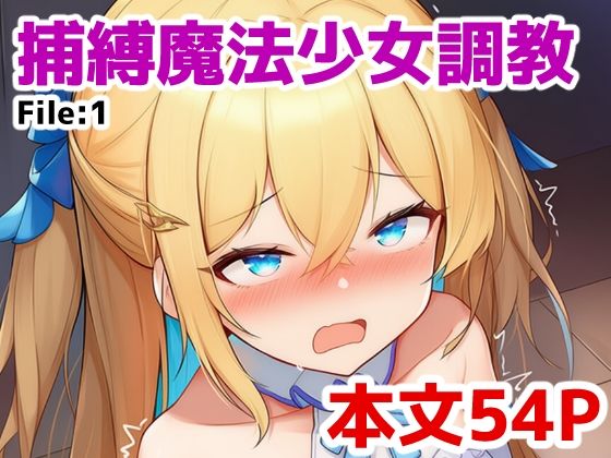 捕縛魔法少女調教 File:1の商品画像