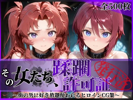 《d_621622》その女たち、蹂躙許可証発行済み -街の男たちに好き放題使われるヒロインCG集- ザ〇トの姉妹編のパッケージ画像