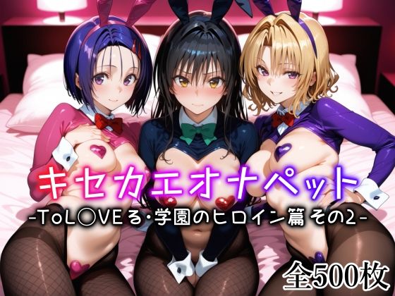 《d_635306》キセカエオナペット -ToL◯VEる・学園のヒロイン篇 その2-のパッケージ画像