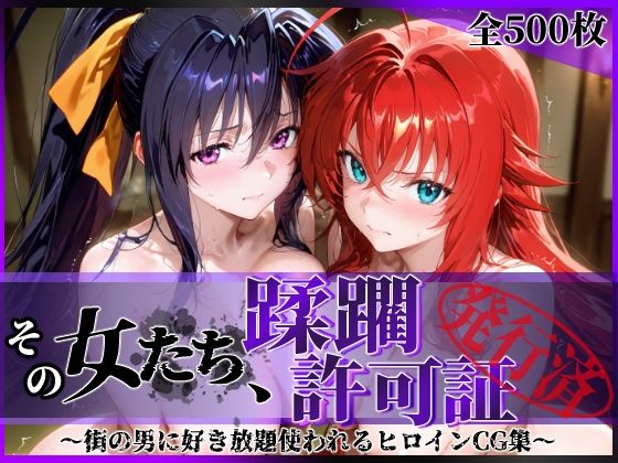 《d_637530》その女たち、蹂躙許可証発行済み -街の男たちに好き放題使われるヒロインCG集- ハ◯スクールD×D編のパッケージ画像