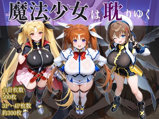 『d_642466』魔法少女は耽りゆくのパッケージ