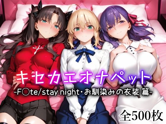 《d_642694》キセカエオナペット -F◯te stay night・お馴染みの衣装篇-のパッケージ画像