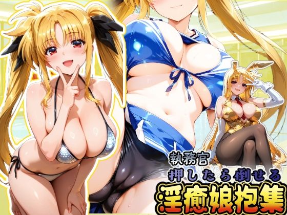 《d_664129》押したら倒せる執務官 淫癒娘抱集のパッケージ画像