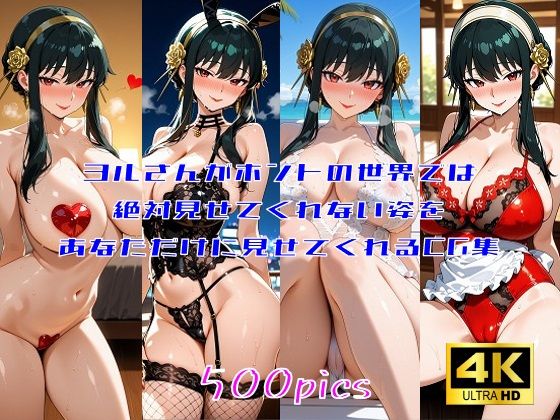 ヨルさんがホントの世界では絶対見せてくれない姿をあなただけに見せてくれるCG集の商品画像