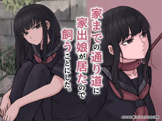 家までの通り道に家出娘が居たので飼うことにした。 (dcg)
