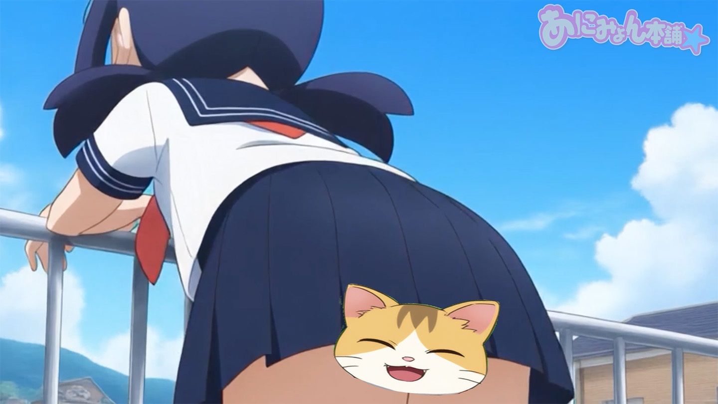 【フルボイスアニメ】サッカー応援中にえっちな風でパンチラしちゃってる女の子たちΣ（’？？？’）のサンプル画像 6
