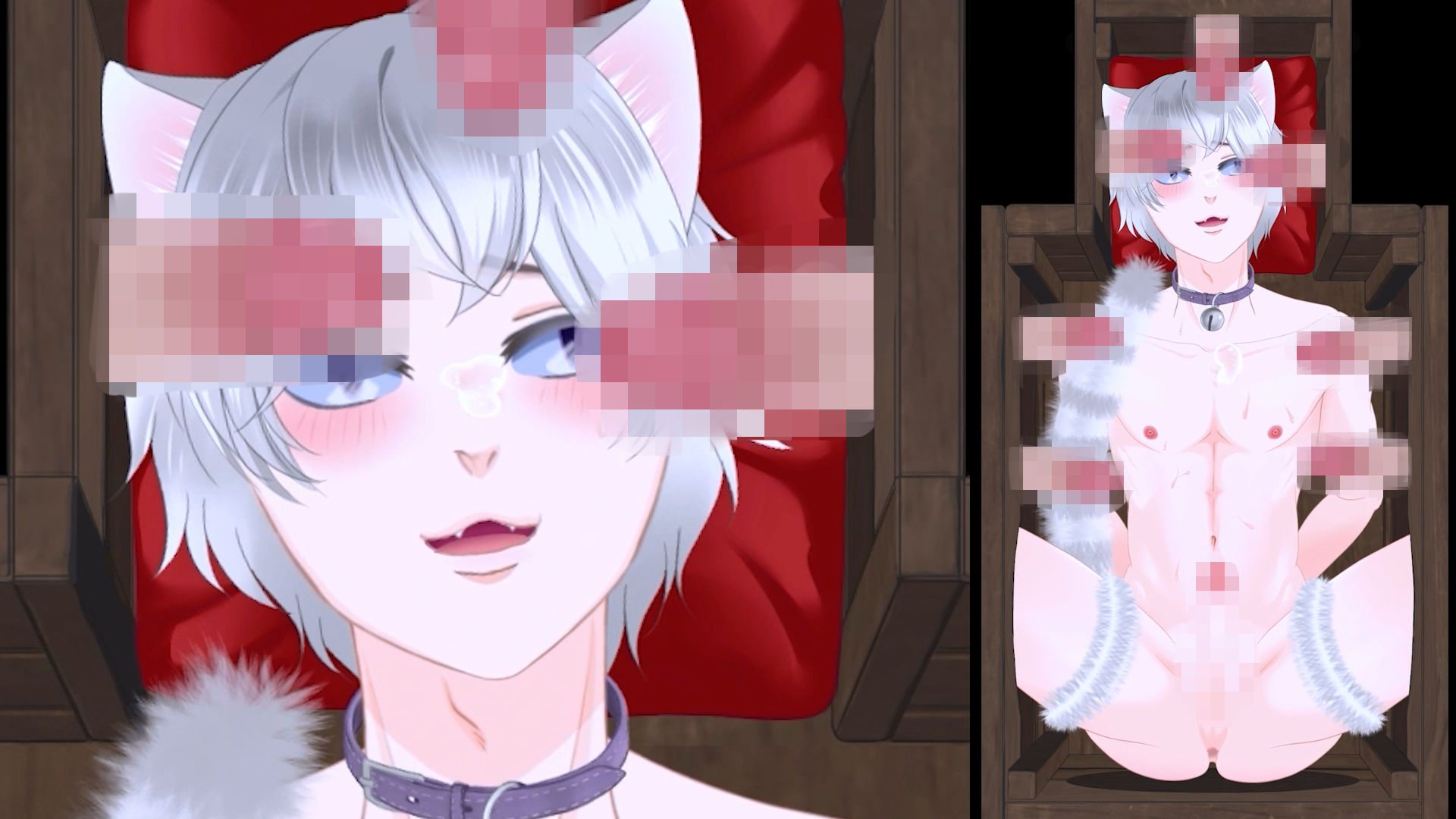箱のナカ身は何だろな？〜猫〜 (dcg jp-007)