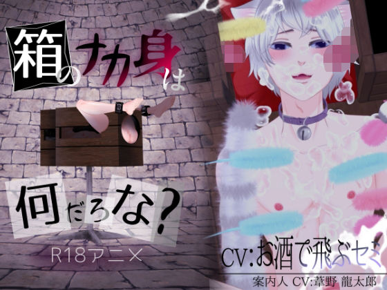 箱のナカ身は何だろな？〜猫〜 (dcg)