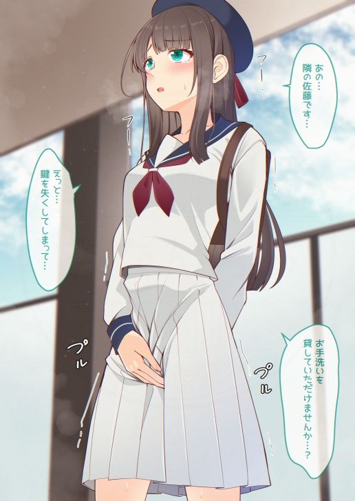 おしっこしちゃった女の子たち15 (dcg jp-001)