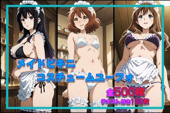 《d_691148》メイドビキニユーフォのパッケージ画像