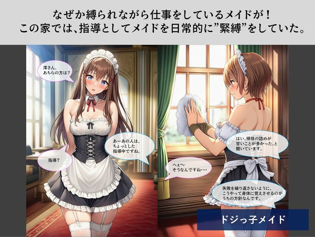【TheDID】婦警さん緊縛監禁/ドジっ子メイドのサンプル画像 6