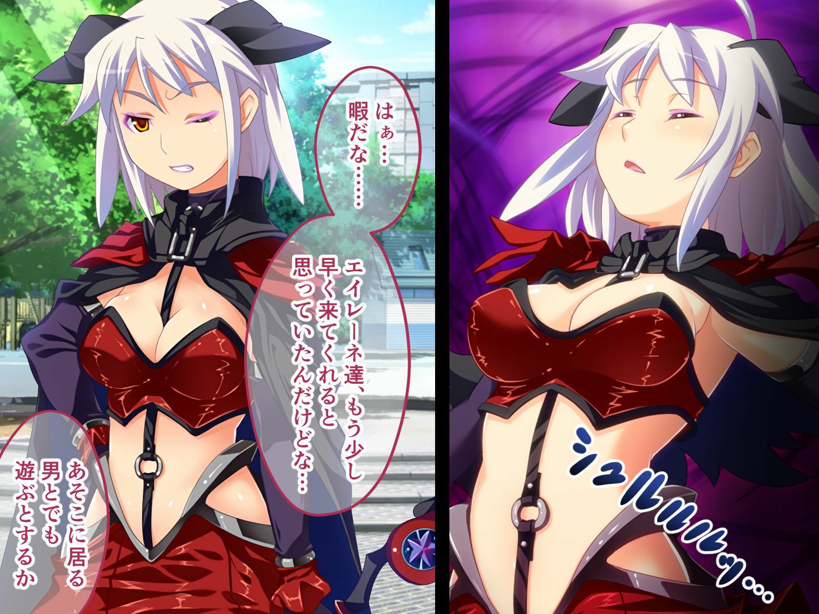 W魔法ヒロイン悪堕ち改造計画 総集編〜正義の味方が強●雑魚マゾ変身！！〜 CGノベル版 (dcg jp-001)