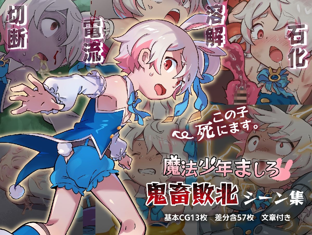 魔法少年ましろ 鬼畜敗北シーン集 (dcg jp-001)