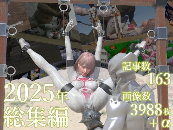 《d_724968》tsumayoji研究所 2025年 総集編のパッケージ画像