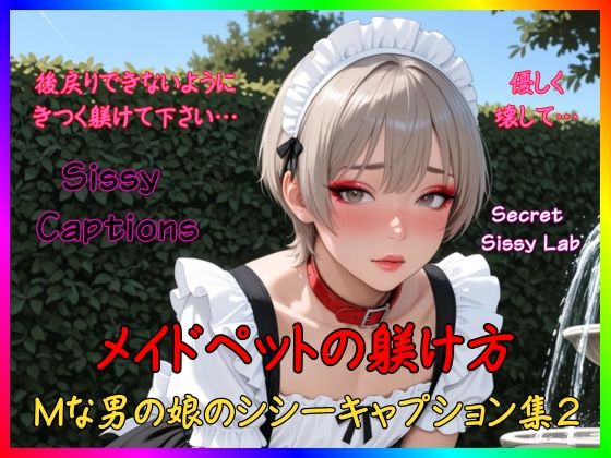 Sissy Captions Mな男の娘のシシーキャプション集2 メイドペットの躾け方 後戻りできないようにきつく躾けて下さい… 優しく壊して…の商品画像