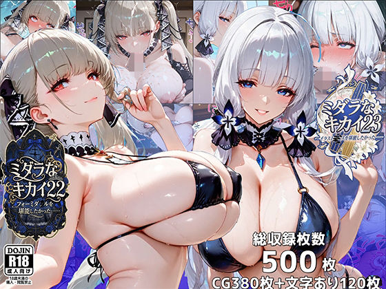 《d_729287》ミダラなキカイ22＆23  フォーミダブルとイラストリアスを堪能したかった……のパッケージ画像