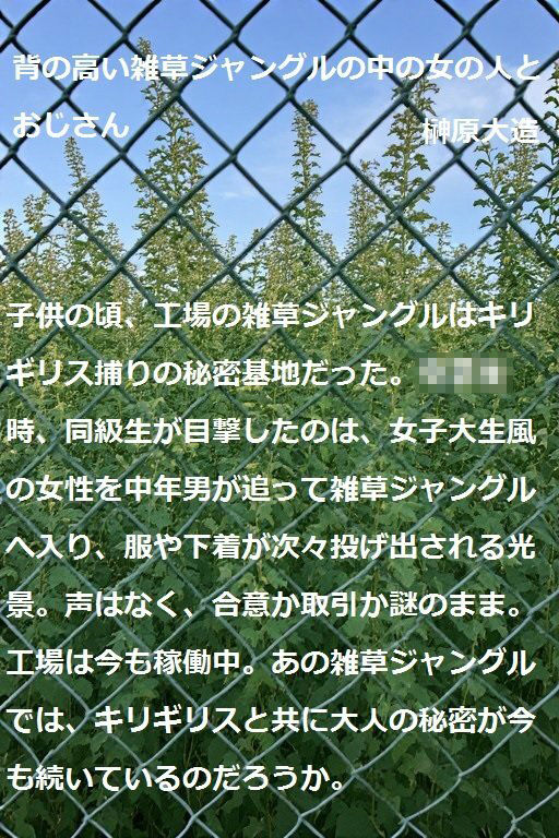 背の高い雑草ジャングルの中の女の人とおじさんのサンプル画像 6