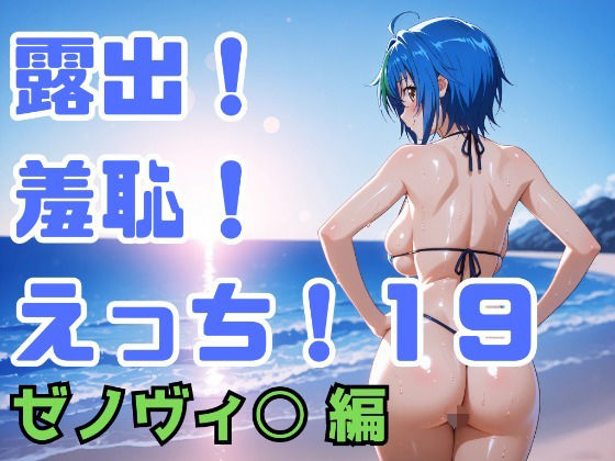 《d_746410》露出！羞恥！えっち！二次創作イラスト集19［ゼノヴィ○］のパッケージ画像