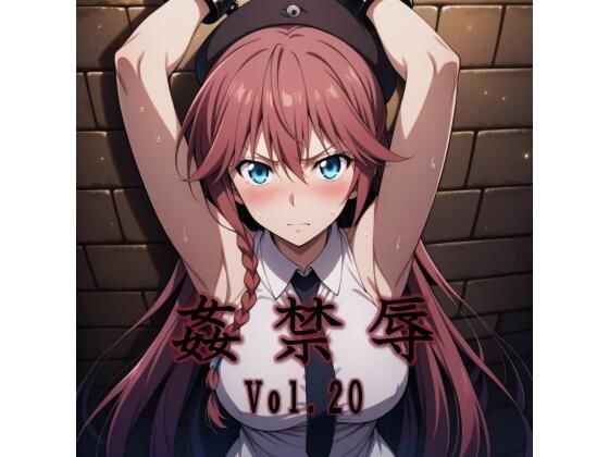 《d_747980》姦禁辱 vol.20のパッケージ画像