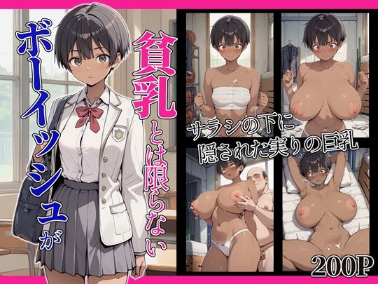 《d_751156》ボーイッシュが貧乳とは限らないのパッケージ画像