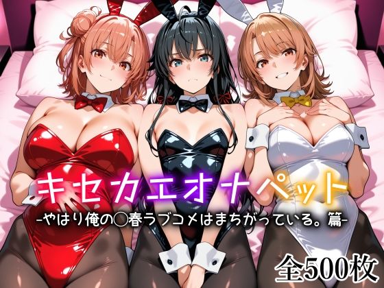 《d_754212》キセカエオナペット -やはり俺の◯春ラブコメはまちがっている篇-のパッケージ画像