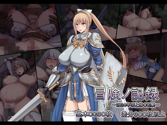 《d_755994》冒険ノ記録のパッケージ画像