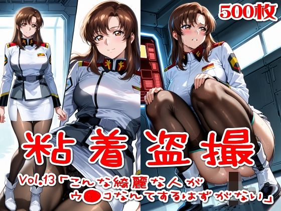 《d_758053》【500枚】粘着盗撮Vol.13「こんな綺麗な人がウ●コなんてするはずがない」のパッケージ画像