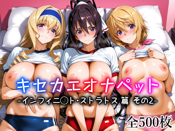 《d_761699》キセカエオナペット -インフィニ◯ト・ストラトス篇 その2-のパッケージ画像
