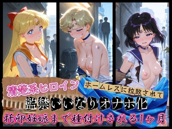 《d_761739》清楚系ヒロインがホームレスに拉致されて監禁いいなりオナホ化 セ〇ラームーン02のパッケージ画像