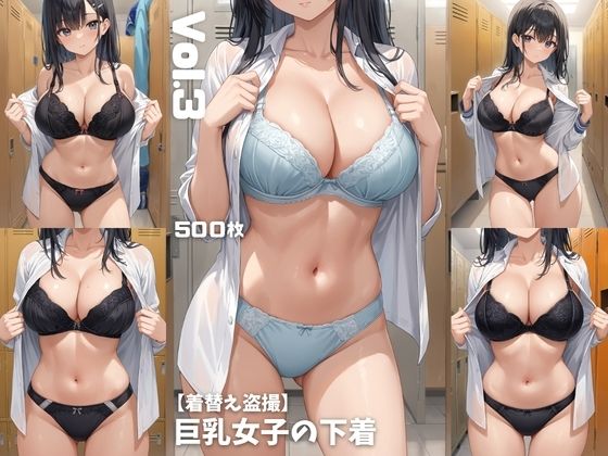 【着替え盗撮】巨乳女子の下着 Vol.3【500枚】の商品画像