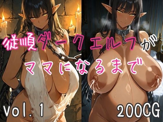 《d_766403》従順ダークエルフがママになるまでのパッケージ画像