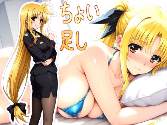 《d_771729》ハラオウン執務官 私性活記録 1 軽量版への追加版のパッケージ画像