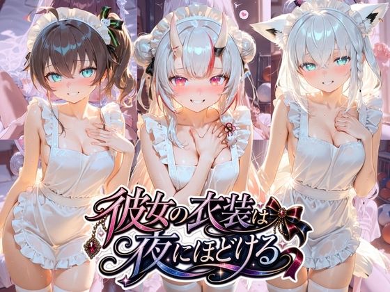 《d_780828》彼女の衣装は夜にほどける ホ〇ライブ No.06のパッケージ画像
