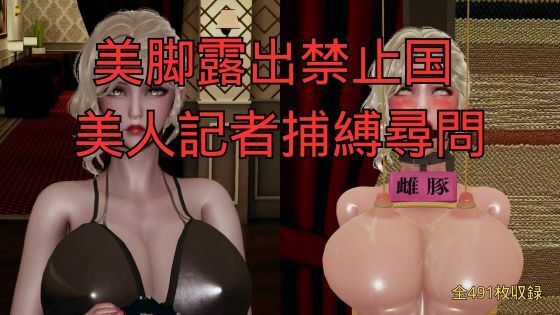 美脚露出禁止国 美人記者捕縛尋問(全6話) (dcg)