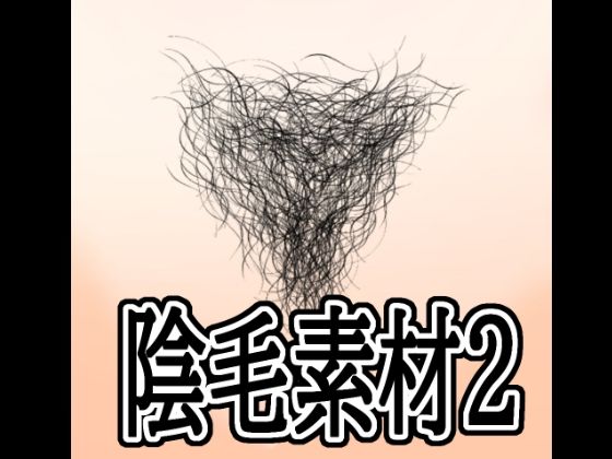 陰毛素材2の商品画像
