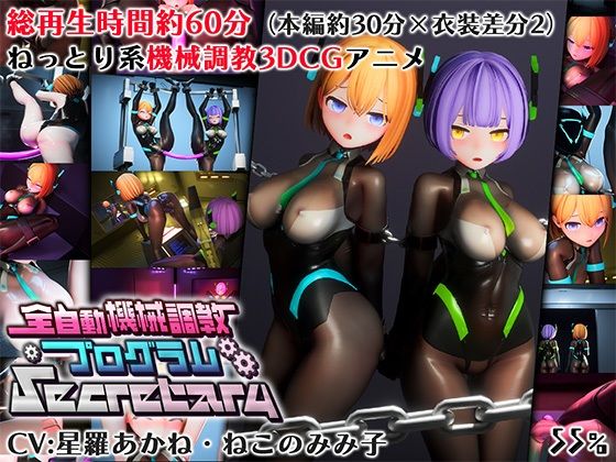 全自動機械調教プログラムSecretary【v1.1】 (dcg)