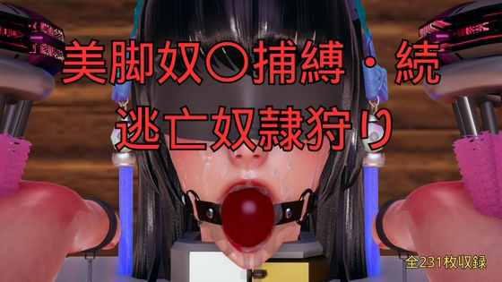 美脚奴〇捕縛・続 脱走奴●捕縛 (dcg)