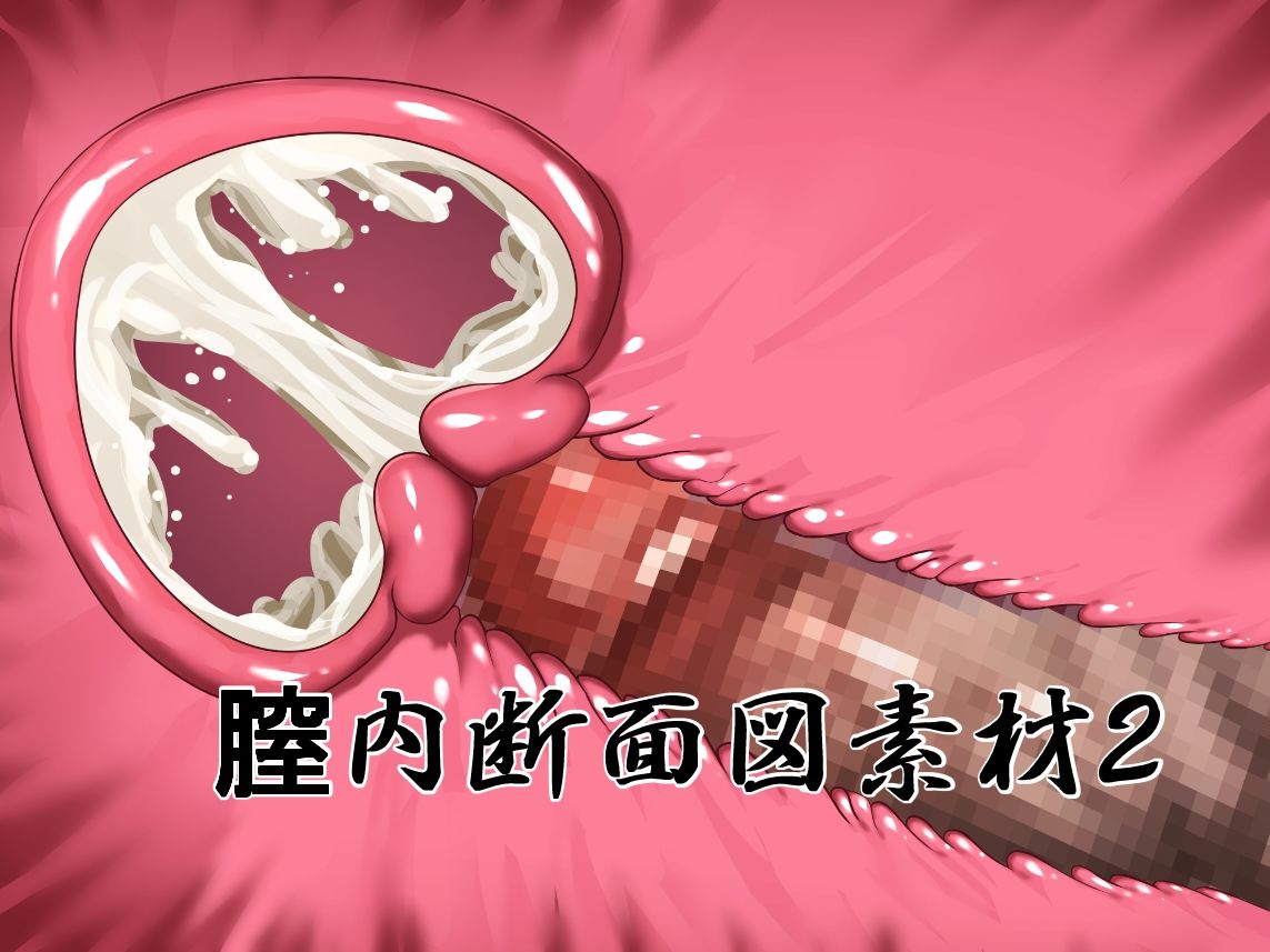 膣内断面図素材2 (dcg jp-001)