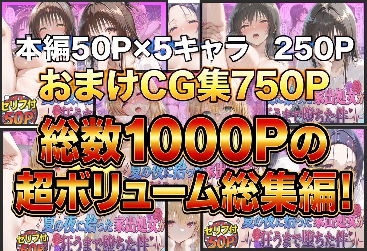 夏の夜に拾った家出処女が狂うまで堕ちた件  To L〇veる総集編のサンプル画像 1