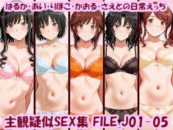 《d_798113》主観疑似SEX集 FILE_J01-05 はるか・あい・りほこ・かおる・さえとの日常えっちのパッケージ画像