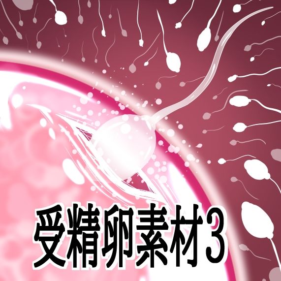 受精卵素材3のサンプル画像 1