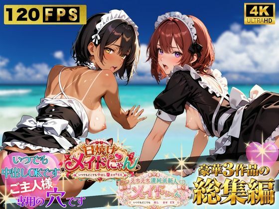 えちえちメイドにゃんシリーズ総集編 〜いつでもどこでも中出し孕ませSEX〜 ご主人様専用の穴ですの商品画像
